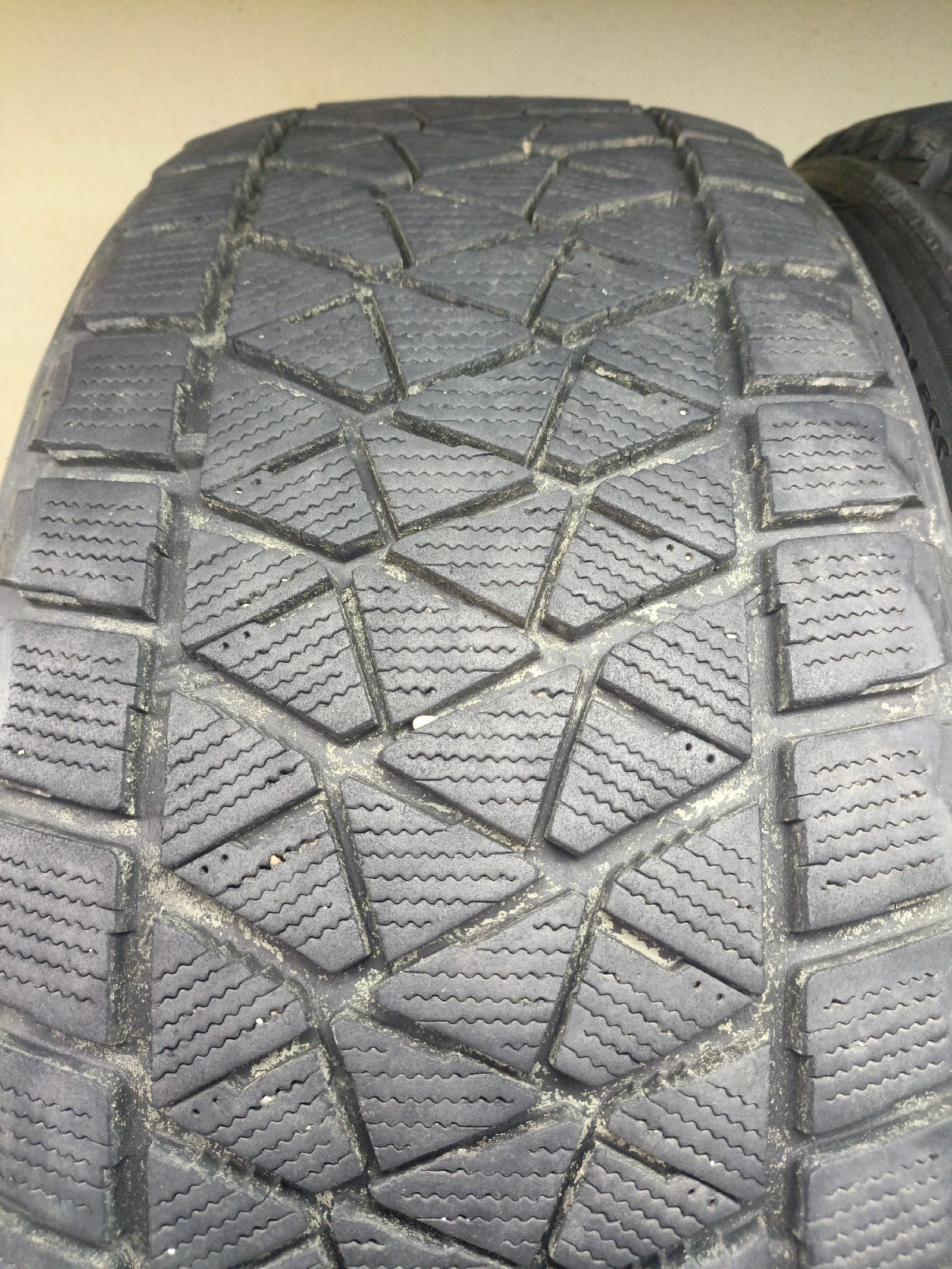 Bridgestone Blizzak DM-V2