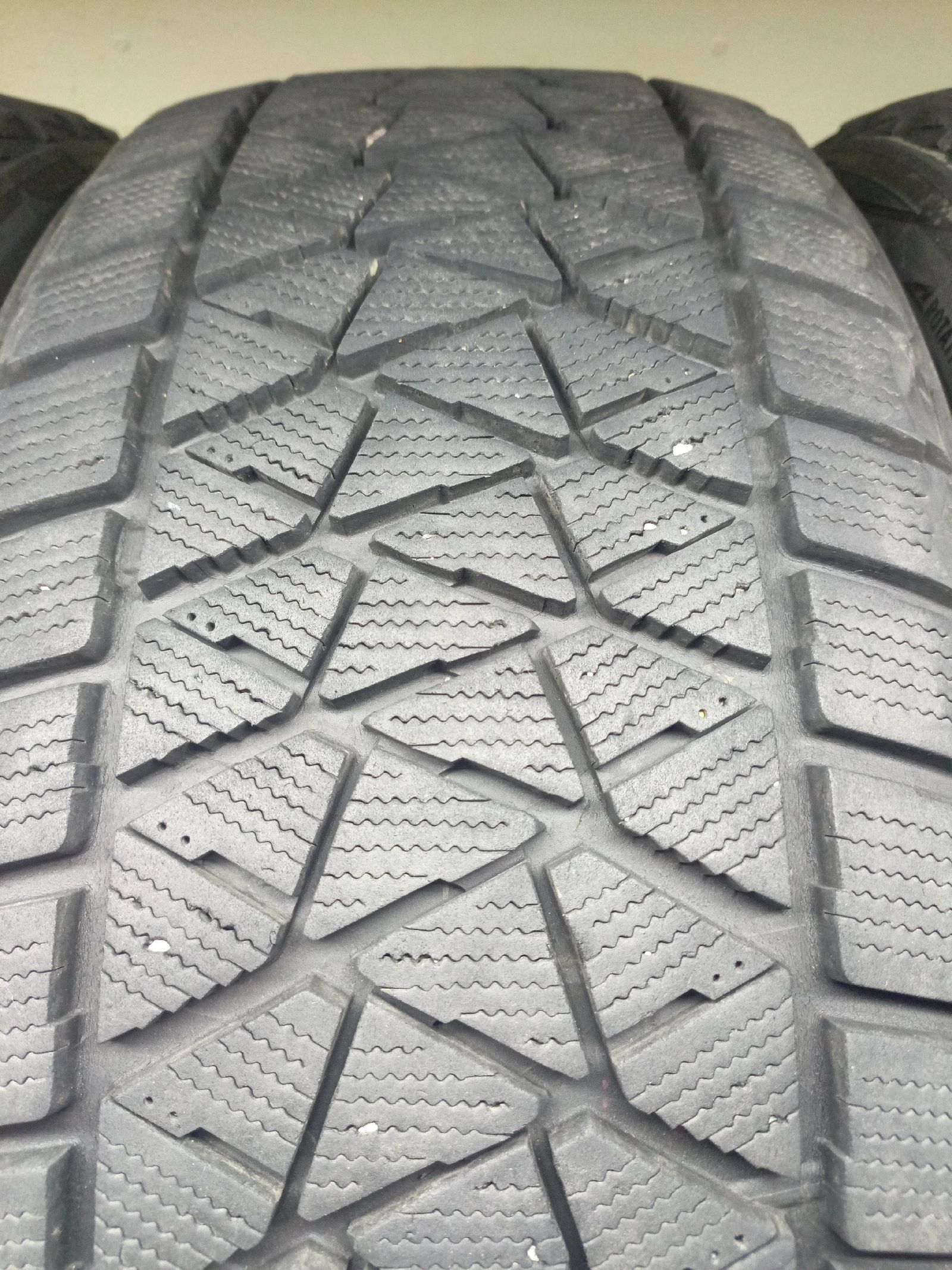 Bridgestone Blizzak DM-V2