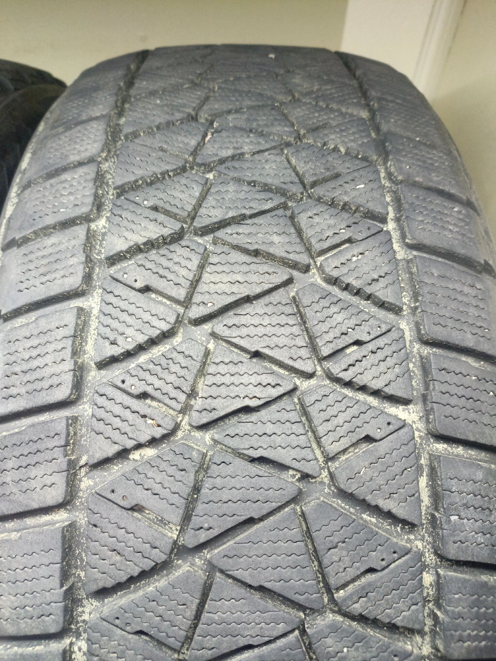 Bridgestone Blizzak DM-V2